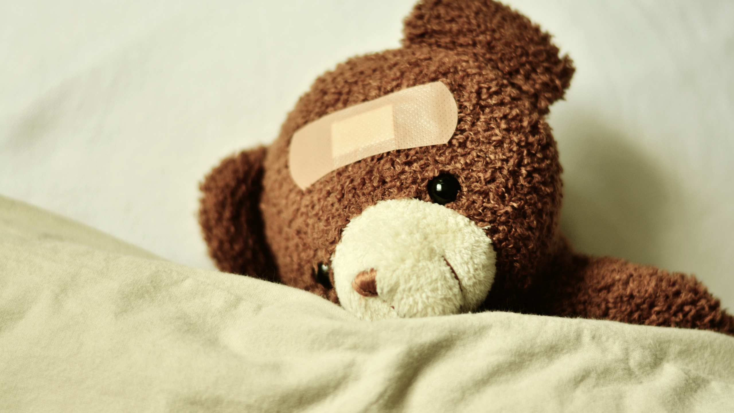 Nounours malade